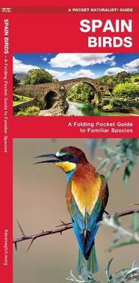 Cover image for Spain Birds: A Folding Pocket Guide to Familiar Species