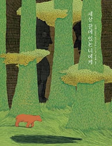 Cover image for The Letters from the Bear