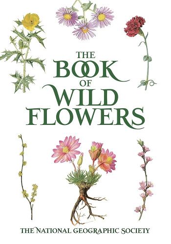 Book of Wild Flowers: Color Plates of 250 Wild Flowers and Grasses