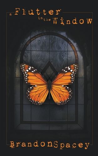 Cover image for A Flutter in the Window