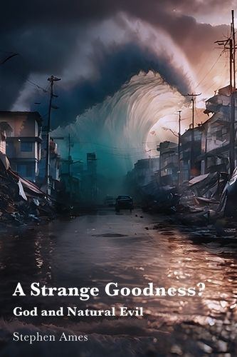 Cover image for A Strange Goodness?