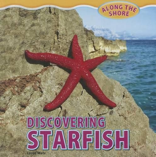 Cover image for Discovering Starfish