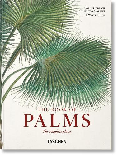 Cover image for Martius. The Book of Palms. 40th Ed.