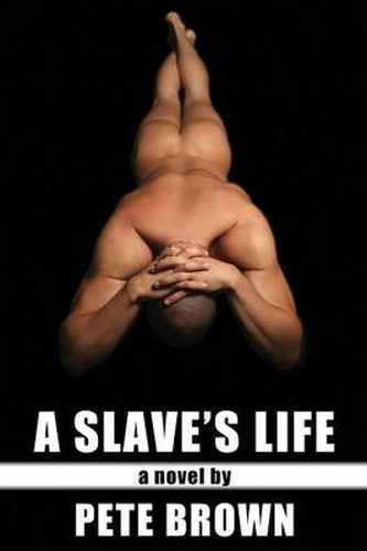 Cover image for A Slave's Life