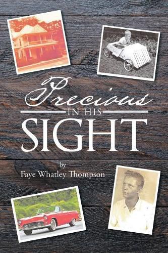 Cover image for Precious in His Sight