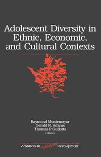 Cover image for Adolescent Diversity in Ethnic, Economic and Cultural Contexts