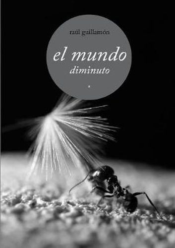 Cover image for el mundo diminuto