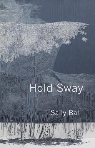 Cover image for Hold Sway