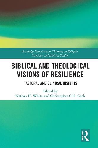 Cover image for Biblical and Theological Visions of Resilience: Pastoral and Clinical Insights