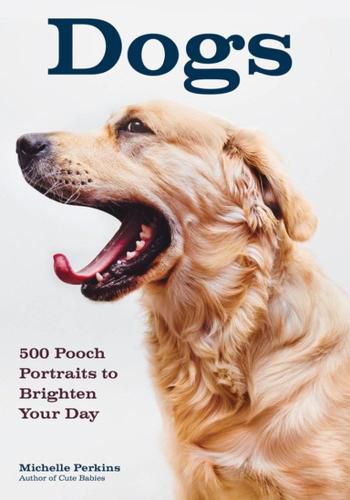 Cover image for Dogs: 500 Pooch Portraits to Brighten Your Day