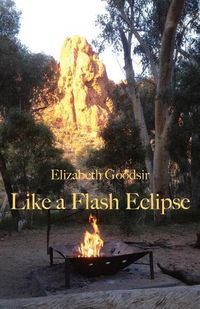 Cover image for Like a Flash Eclipse