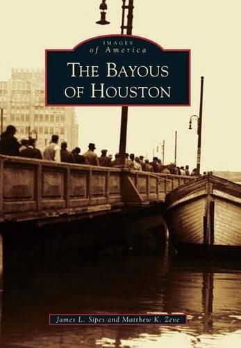 Cover image for The Bayous of Houston
