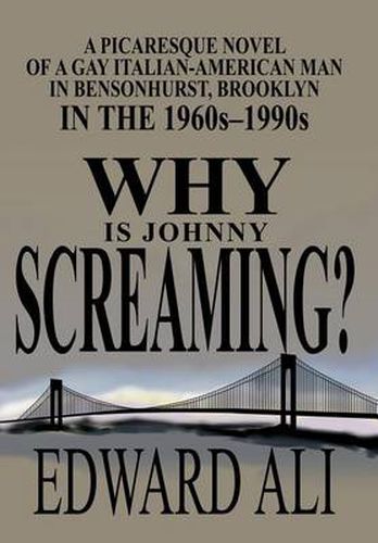 Cover image for Why is Johnny Screaming?:A Picaresque Novel of a Gay Italian-American Man in Bensonhurst, Brooklyn in the 1960s-1990s