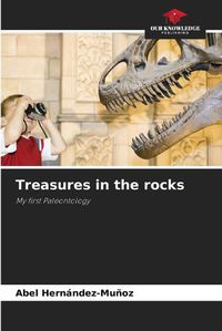 Cover image for Treasures in the rocks