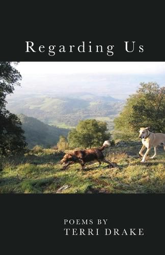 Cover image for Regarding Us