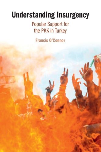 Cover image for Understanding Insurgency