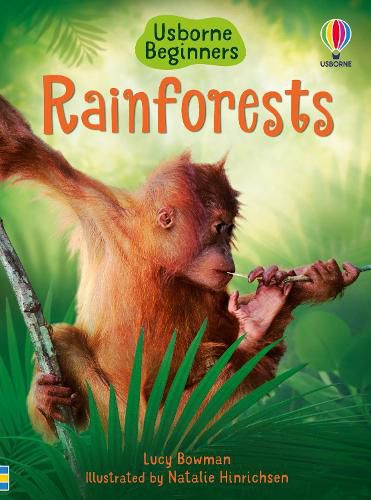Cover image for Rainforests