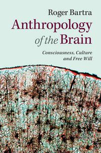 Cover image for Anthropology of the Brain: Consciousness, Culture, and Free Will