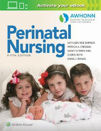 Cover image for AWHONN's Perinatal Nursing