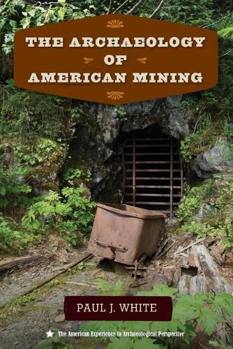 Cover image for The Archaeology of American Mining