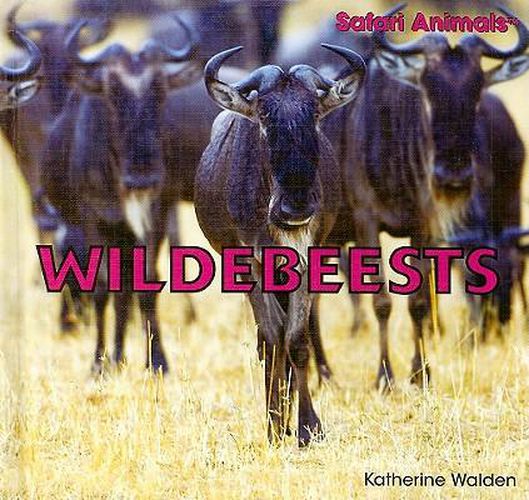 Cover image for Wildebeests