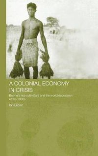 Cover image for A Colonial Economy in Crisis: Burma's Rice Cultivators and the World Depression of the 1930s