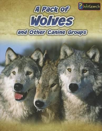 A Pack of Wolves: and Other Canine Groups (Animals in Groups)