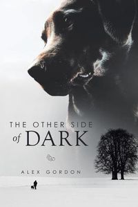 Cover image for The Other Side of Dark