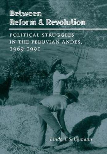 Between Reform and Revolution: Political Struggles in the Peruvian Andes, 1969-1991