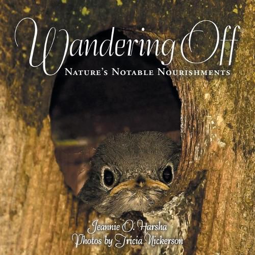 Cover image for Wandering Off: Nature's Notable Nourishments