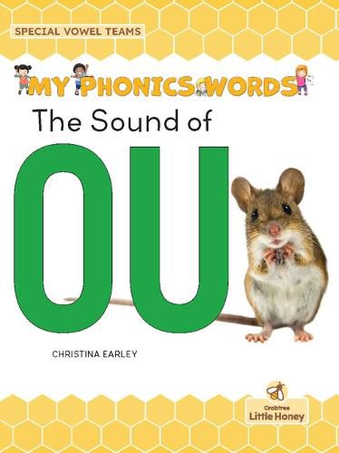 Cover image for The Sound of Ou