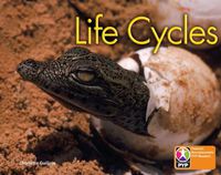 Cover image for PYP L6 Life Cycles 6PK