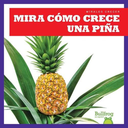 Cover image for Mira Como Crece Una Pina (Watch a Pineapple Grow)