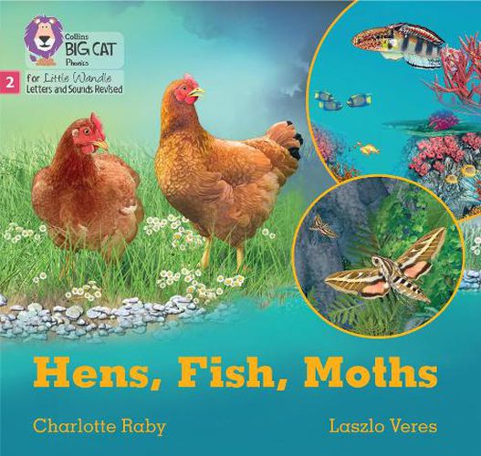 Cover image for Hens, Fish, Moths: Phase 2 Set 5 Blending Practice