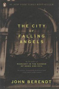 Cover image for The City of Falling Angels
