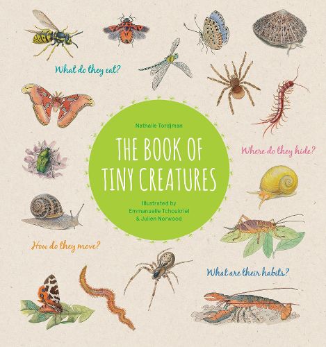 Cover image for The Book of Tiny Creatures