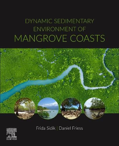 Cover image for Dynamic Sedimentary Environments of Mangrove Coasts
