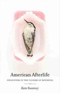 Cover image for American Afterlife: Encounters in the Customs of Mourning