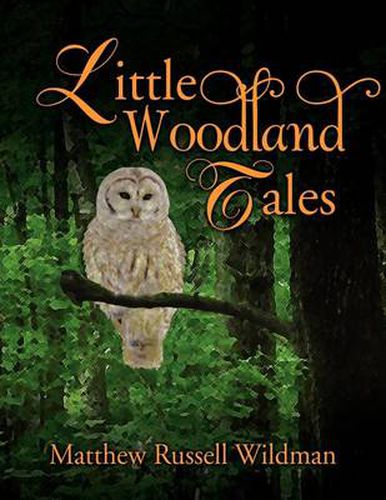 Cover image for Little Woodland Tales