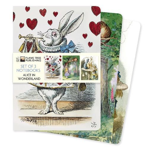 Cover image for Alice in Wonderland Set of 3 Standard Notebooks