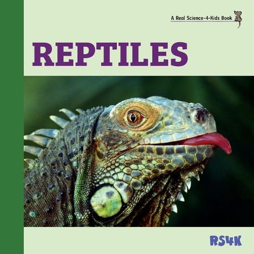 Cover image for Reptiles