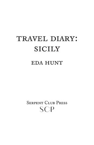 Cover image for Travel Diary