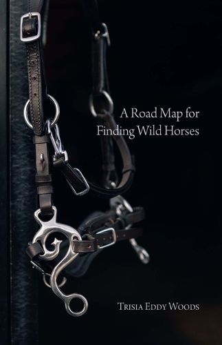 Cover image for A Road Map for Finding Wild Horses