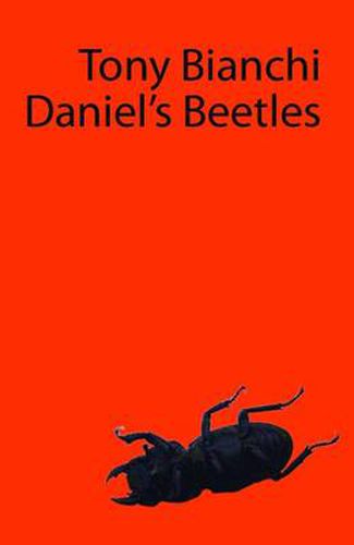 Daniel's Beetles