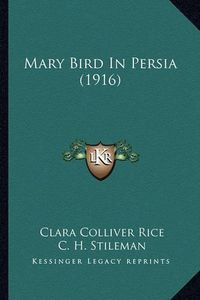 Cover image for Mary Bird in Persia (1916)