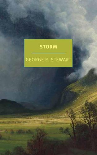 Cover image for Storm