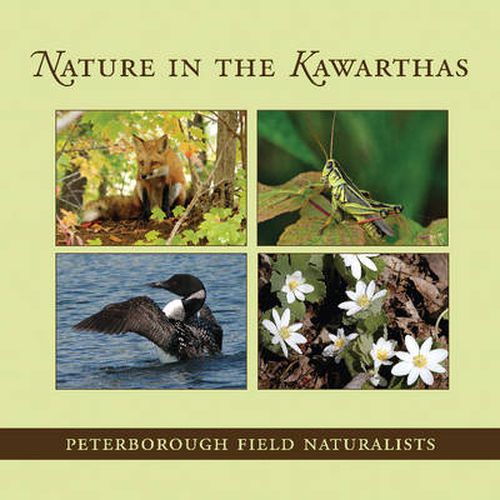 Cover image for Nature in the Kawarthas