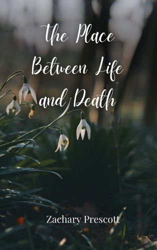 Cover image for The Place Between Life and Death