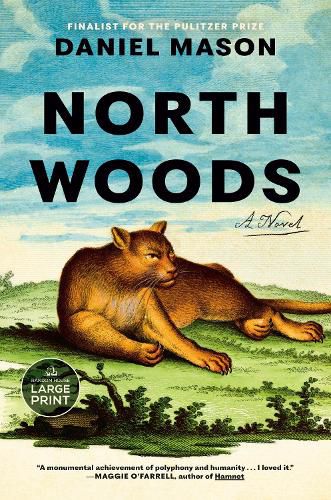 Cover image for North Woods