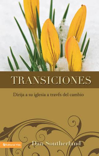 Cover image for Transiciones: Leading Your Church Through Change